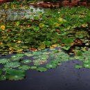 삼락강변공원 이미지