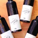 커피담다 이미지