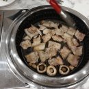 스페스11 이미지