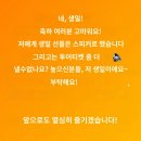 스탠바이유