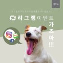 플레이펫 네이버블로그