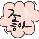 트래블인코타 이미지