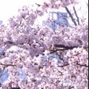 덕풍천서로 이미지