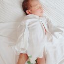 더 배냇 이미지