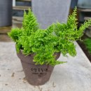 북유성대로(유성-28) 이미지