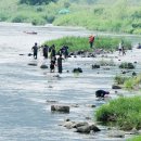 이종대 농장 이미지