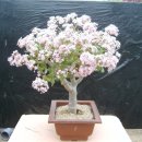 김재성농장 이미지