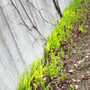 아름솔 유치원 이미지