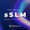 SSLM