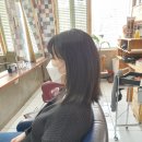 모도리헤어 이미지