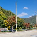 고창중학교 이미지