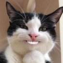 수정목욕탕 이미지