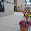 골든메디컬케어센터 이미지