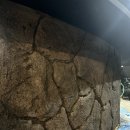 아트스톤 | 강남역 주신당 강남점, 공간의 분위기를 완성한 스톤 아트미장 시공 후기