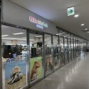 주식회사 밀레펫 이미지