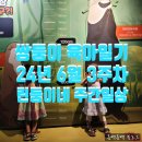노원센트럴의원 | 쌍둥이 육아일기 6월 3주차 린둥이네 주간일상