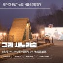 동구릉로 459번길 | 구리 사노리숲캠핑장 무박캠핑 후기｜서울 근교 당일치기 캠핑 아이·반려견 동반 추천