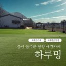 멍뛰멍 | 울산 울주군 언양 신상 애견카페 <하루멍> 방문후기