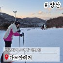 양산 에덴밸리 스키장 가격 다모아레저
