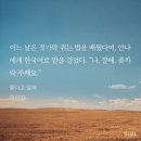 채하정 이미지