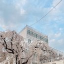 개화막창