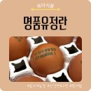 두평농장 | 유정란 추천｜난각번호1번 계란, 등고개농장 명품 유정란 솔직 후기