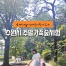 수원시 숲의 가족오락관, 숙지공원에서 주말가족숲체험 후기(+주차 및 예약 방법)
