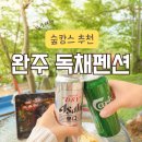 완주숙소 올리브펜션 숲속방, 조용한 숲캉스 독채 펜션 후기
