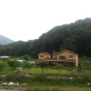 삼나무집펜션 이미지