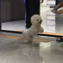 파랑 이미지