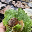 청솔로스 네이버블로그