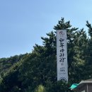 [부산/태종대] 부산 아르떼뮤지엄 근처 맛집 태종아리랑 꽃등심 후기