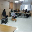 반려동물관리사과정 이미지