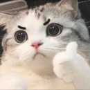 견과유 이미지