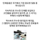 조선시대 종9품도 고인물인 이유 이미지