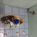 대광수도설비 이미지