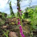 남해지족민박 이미지