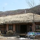 초가집 Daum카페