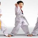 용인대창룡태권도 이미지