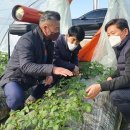 광활농협 이미지