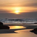 팡팡과일 이미지