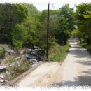 나란히 흐르다 이미지