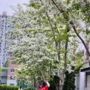 대승축산 이미지