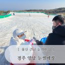 솔미농장 | 양남 눈썰매장 경주 아이랑 가볼만한 곳 빙어체험 깡통열차 제설시간 참고