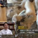 백봉한의원 이미지