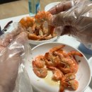 다온팜 | 태안 당일치기 여행코스 추천(덕수식당, 팜카밀레, 파도리 해식동굴, 천리포수목원, 신두리 해안사구...