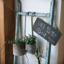 벤자민&데이지 이미지