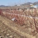 양편농장 이미지