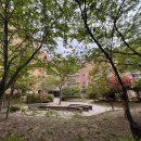 조동길 49-28 이미지