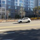 A4 행정사사무소 이미지